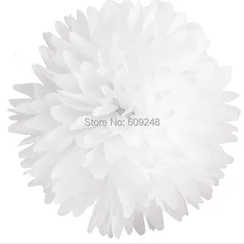 

10pcs 8"(20cm) Wedding Party Holiday Decoration White Tissue Paper Pom Poms Flower Ball,3 Days Delivery on Orders over $100