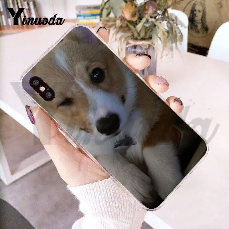 Yinuoda вельш корги щенков Прозрачный чехол для мобильного телефона iPhone 8 7 6 6S Plus X 5 5S