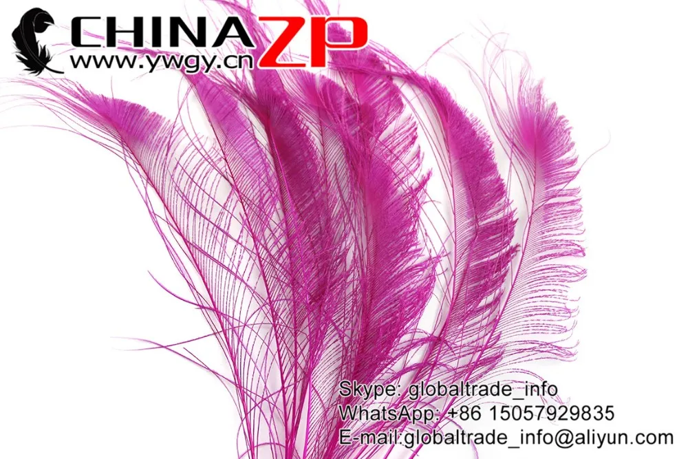 Hot Pink Peacock Sward Cut Feathers (10)