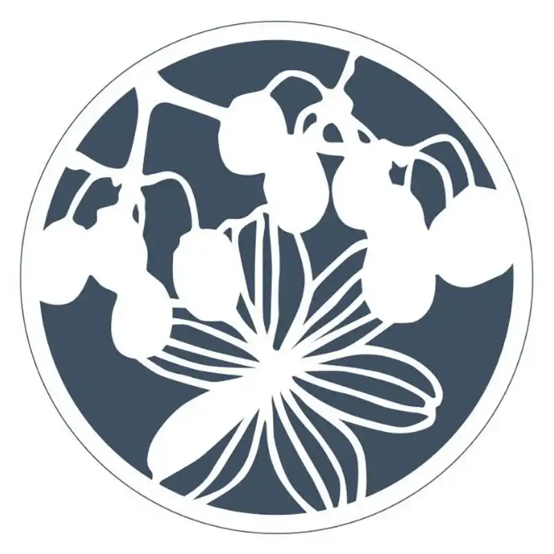 1pcステンシル植物花柄のペイントテンプレート再利用可能なラウンドアクセサリースクラップブッキングオフィス学用品 Null Aliexpress