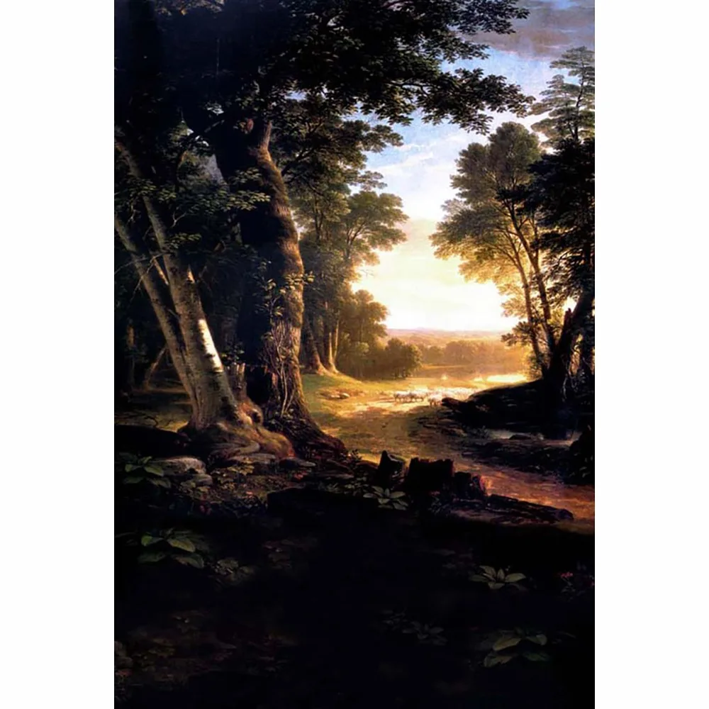Allenjoy-Photography-background-Dawn-Forest-Trees-princess-girl-spring-send-rolled-backdrops (1)
