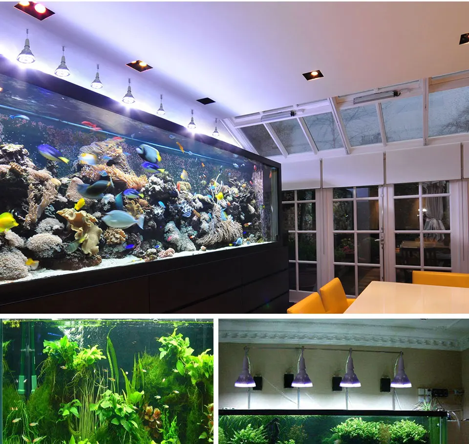 Coral Reef Fish Tank Light  (9)