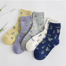 Лидер продаж хлопковые носки для женщин кактус узор Harajuku зимние носки женские повседневные теплые мягкие забавные носки дропшиппинг