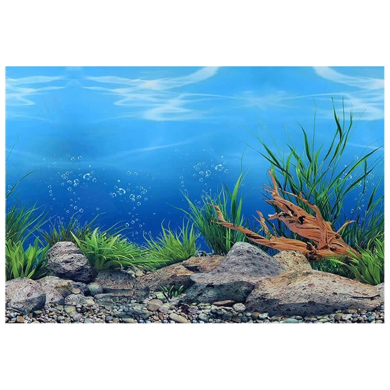 Acuario pescado tanque de fondo de doble cara 24/"//60cm alta-de 2 a 10 ft longitudes
