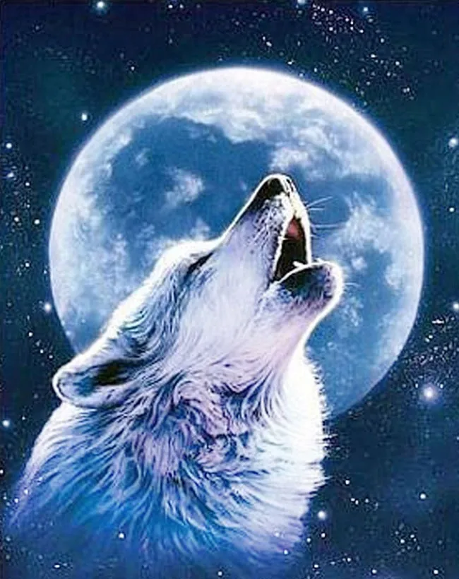 

Needlework full embroidery painting cross stitch animal diy diamond kits stich round wolf