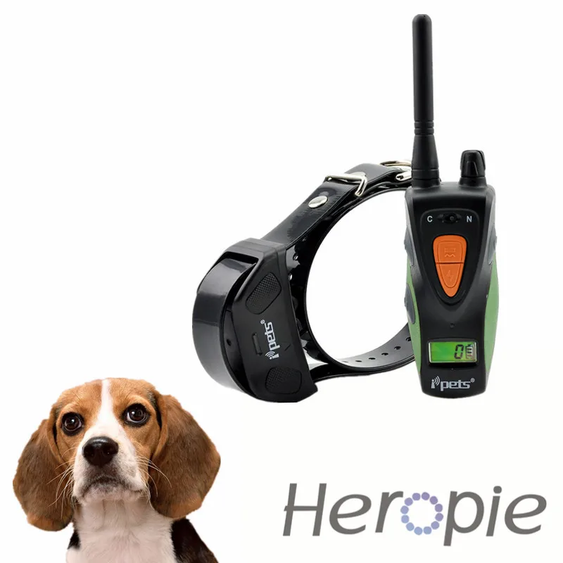 Remote Dog Training Collar Uk Remote Dog Training Collar Uk