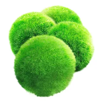 

Aquarium Moss Fish Aquarium Alive Live Fishes Plants Aquaristics Shrimp Aquarium Moss Ball Water Grass Shrimp Water Grass Balls