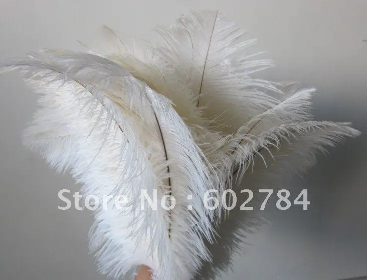 

Free shipping 100pcs/ lot 8-10inch 20-25cm white ostrich feather, ostrich drab feather on hot sale