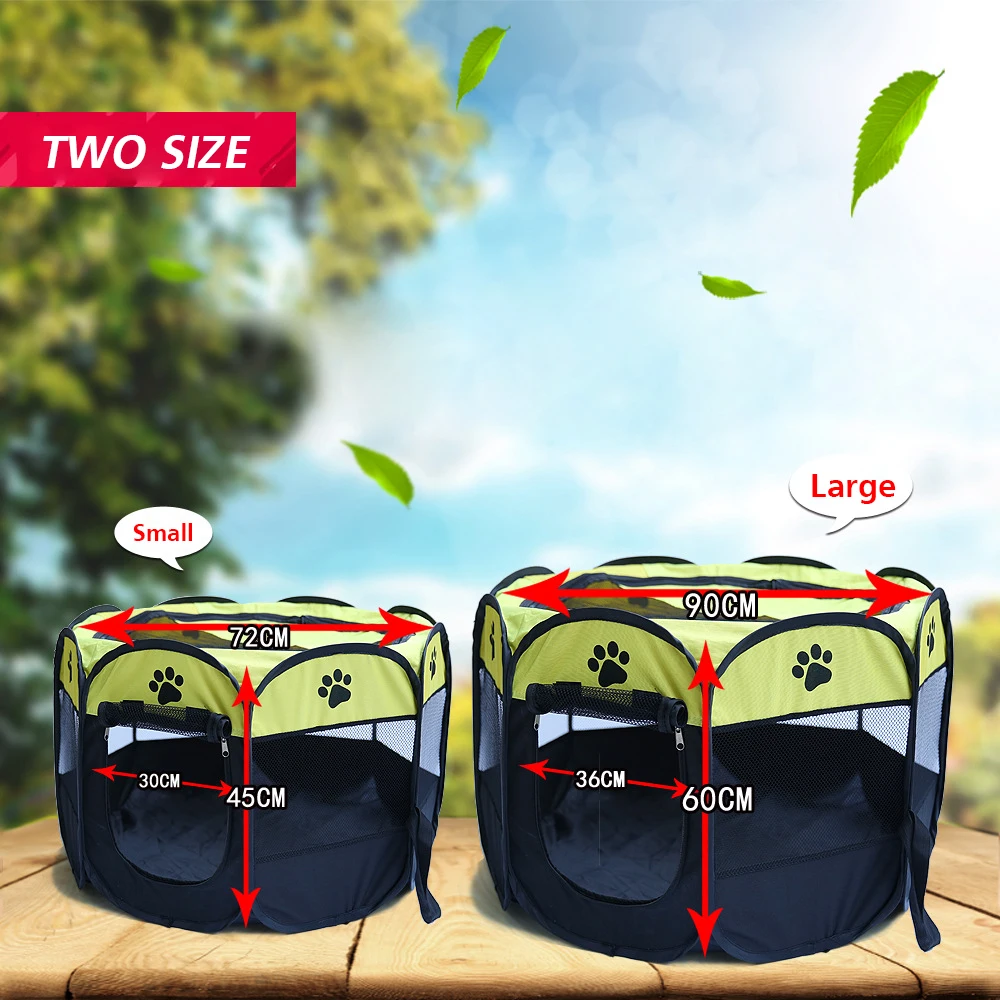 3294845997_1264405588(1)