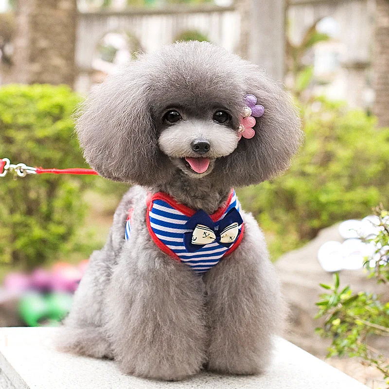 High Quality Cute Solid Jeans Pet Dog Collars 14 Colors Girl Leash For