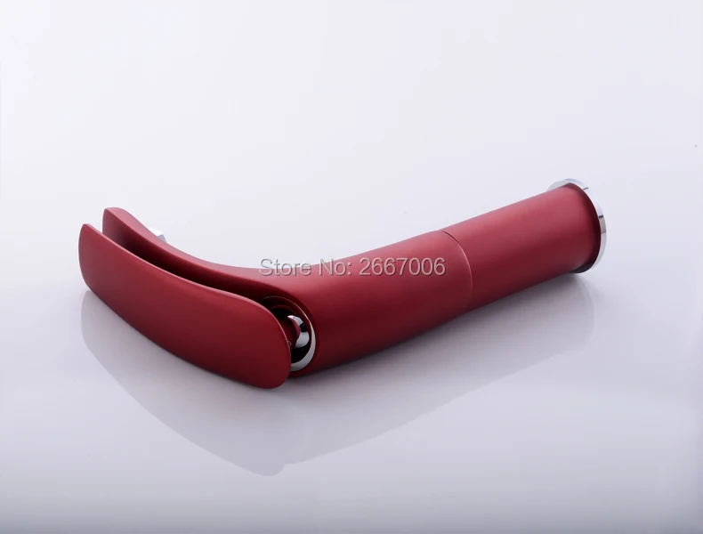 ZR595 (1)