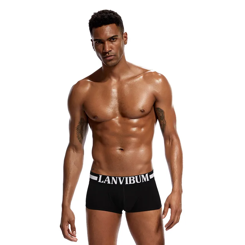 Comfortable Boxershorts Men Underwear Boxer Men Cotton Modal Underwear Antibacterial Boxers Boxer Sexy Hombre