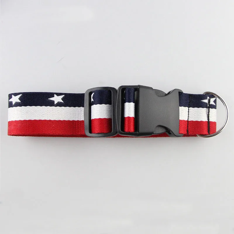 dog leash (5)