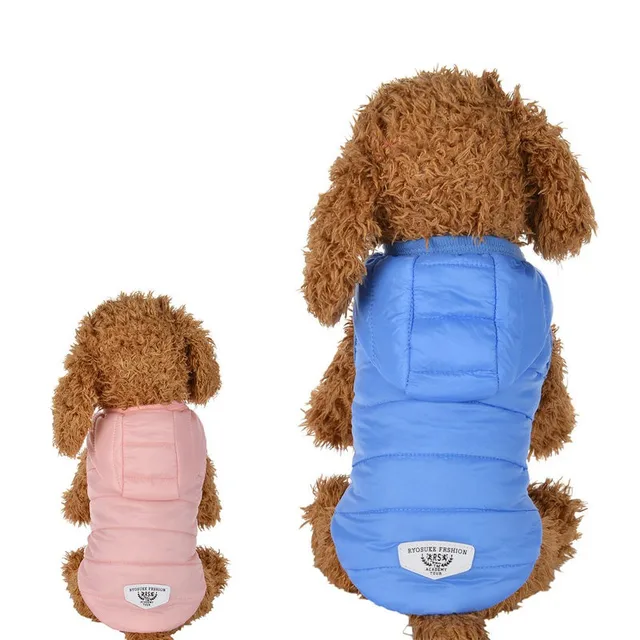 Inverno Gli Animali Domestici Vestiti Del Cane Per Cani di Piccola Taglia Caldo Inverno Gli Animali Domestici Vestiti Del Cane Per Cani di Piccola Taglia Caldo