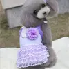 Pet Products