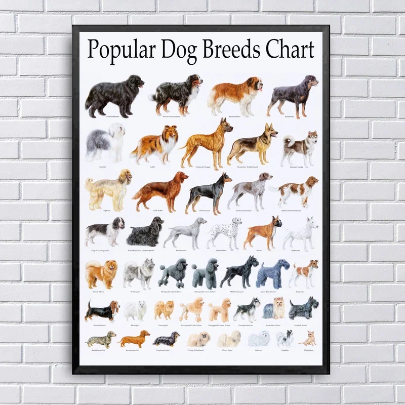 Kinds Of Dogs Chart