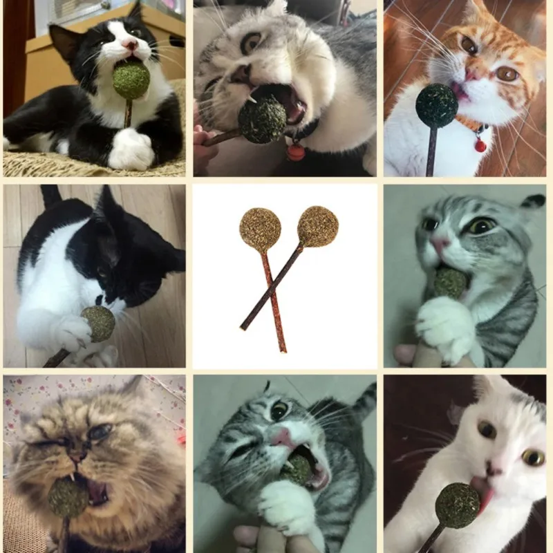 Pet Catnip Lollipop Catnip Ball with Stick, Cat Toy, Kittens and Playing Cat Toys