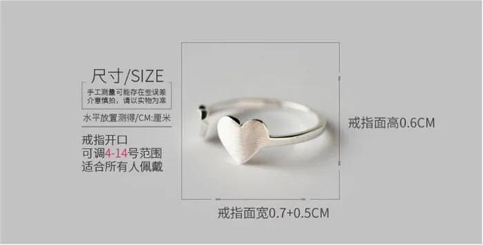 RS04006