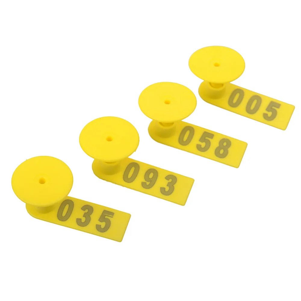 YW50-Yellow (3)