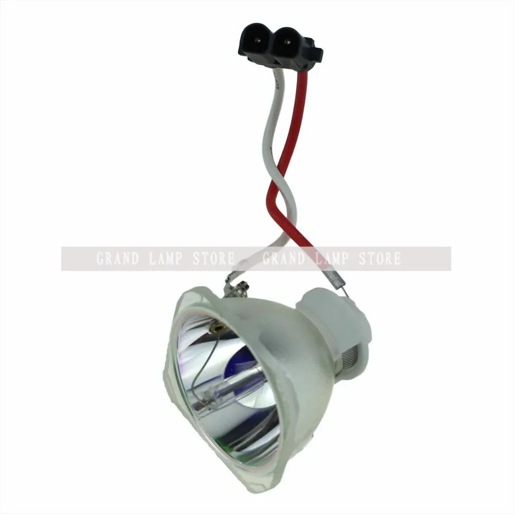 SP-LAMP-019-4
