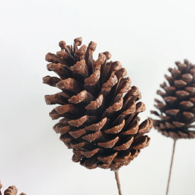 JAROWN Wooden Decoration Dried Pine Nuts Pine Cones For Christmas Holiday DIY Party Ornament Home Office Decor Supplies (6)