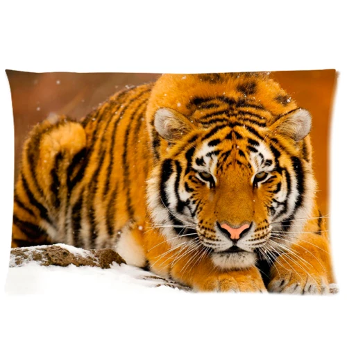tiger 1