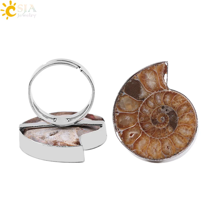 

CSJA Resizable Women Men Glossy Real Ammonite Conch Sea Shell Flat Natural Fossils Stone Classic Ring for Jewellery Set E251