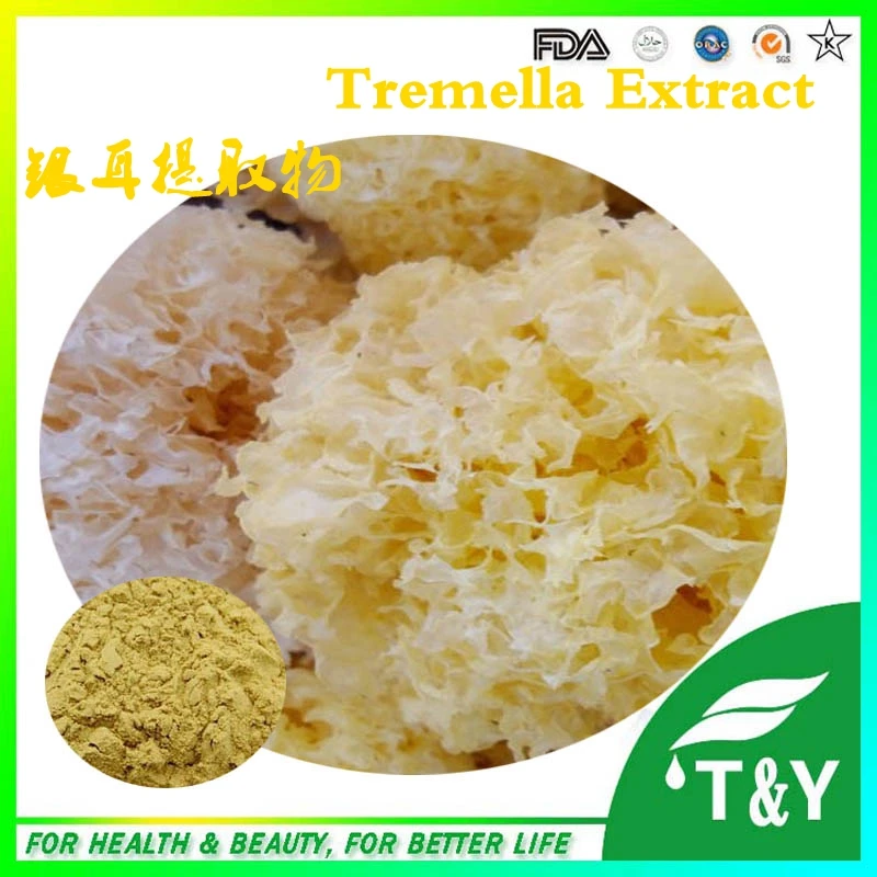

Tremella Fuciformis Extract p.e. 100g