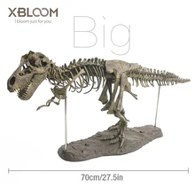 Big dinosaur 4D assembled bone blast dragon children's toy tyrannosaurus fossil skeleton simulation animal teaching model decor big tyrannosaurus