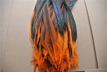 

Free Shipping 200pcs orange coque tail feather loose 12-14 inch cock tail feather loose for costume decor