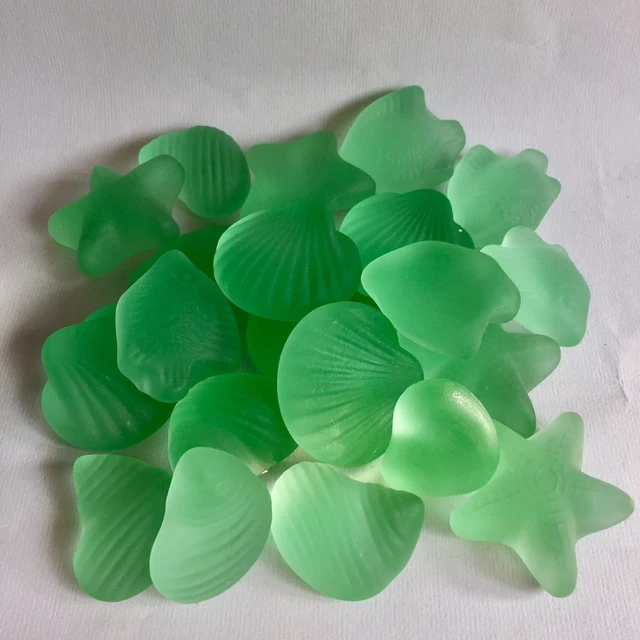White Decorative Sea Shell and Mint Green Sea Glass, 1 Pound Shells for  Decoration, Shells for Craft