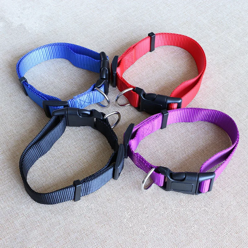 CW019 New Fashion Nylon dog collars for small dogs Pet Cat Collar 4
