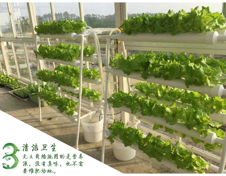 Hydroponics system NFT with 72pcs of net cup. Nutrient Film Technique (NFT)