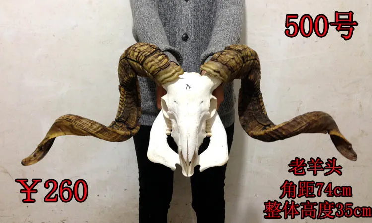 

head Arts Crafts The bone ornaments handicrafts sheep bone specimens handicraft Tau