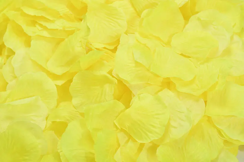 2382-23-10pcs-yellow-
