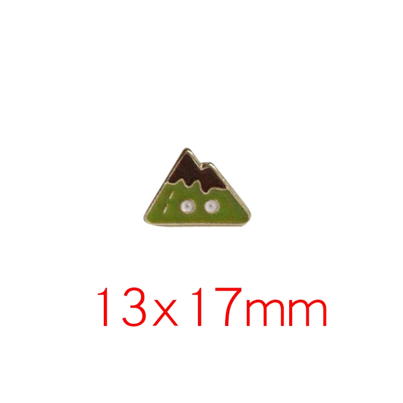 101070013