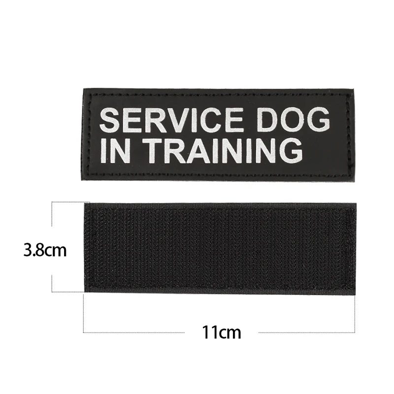 service-dog-in