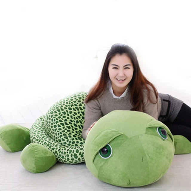 teddy the turtle