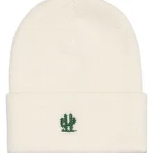 Кактус Цветочная Подгонянная вышивка Мехико дезерты украшения сухой воды гостиной горшок сад Мода с манжетами Skullies Beanie cap