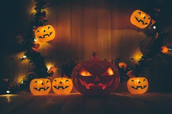 

Halloween trick kids backgrounds photography vinyl sunflowers photography backdrops for sale photography high quality