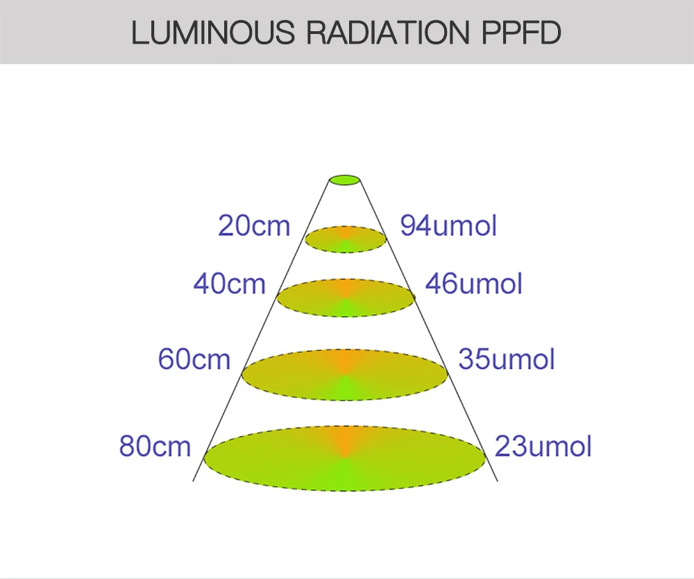 LED31_09