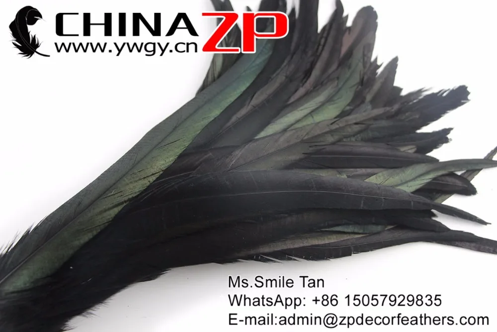 6 Natural Directly Dyed Decoration Rooster Tail Feathers (13)