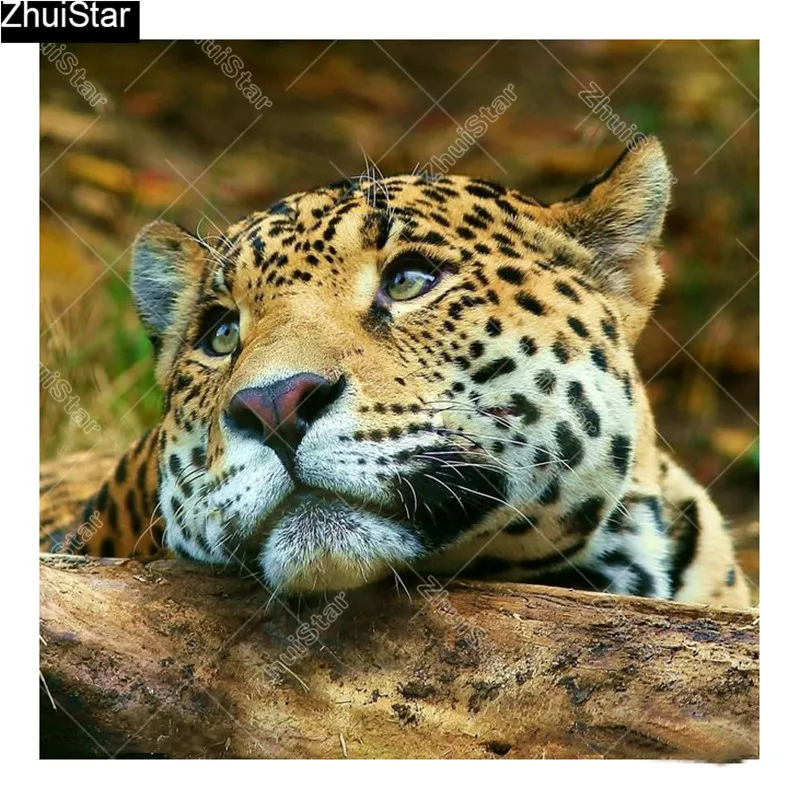 6fa216921171e9761f25649e8e1aac07f9d04543e8126-uOgxX6_fw658 