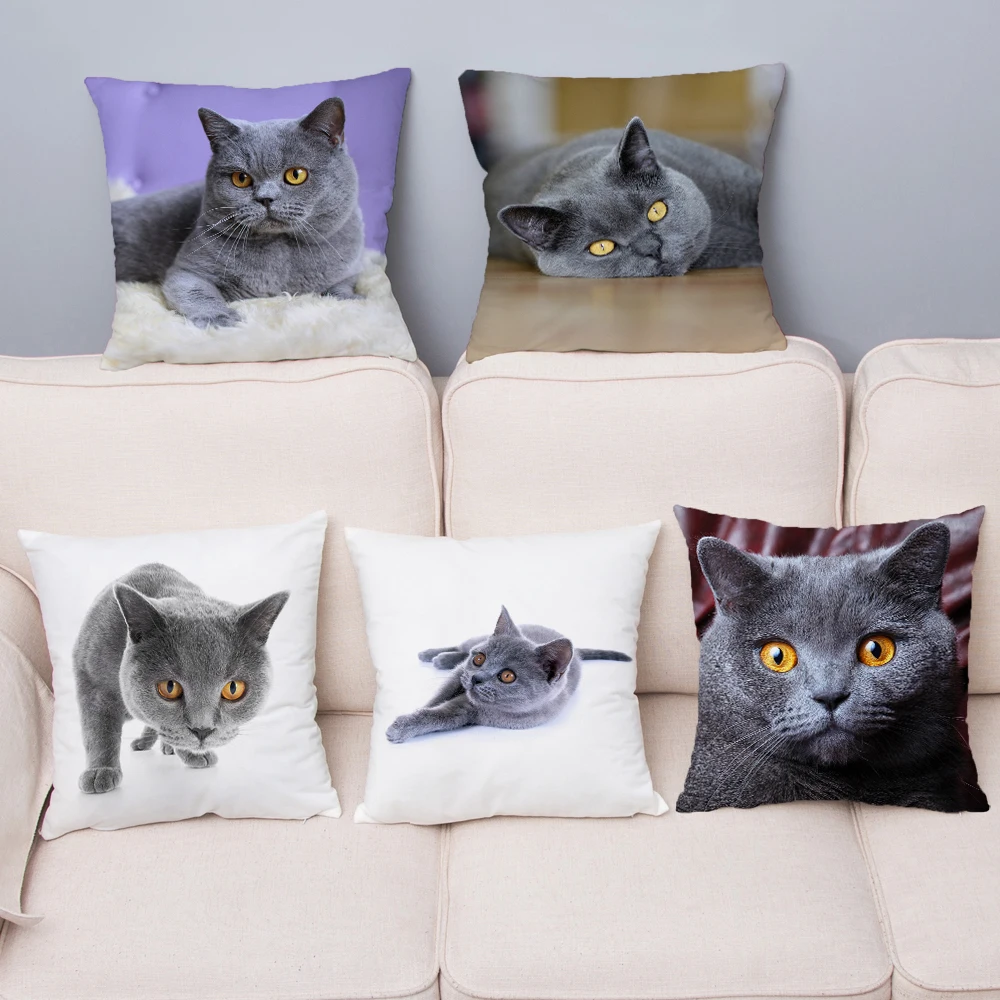 

Blue British Shorthair Cat Print Cushion Cover Super Soft Plush 45*45 Pillow Case Throw Pillows Covers Car Home Decor Pillowcase