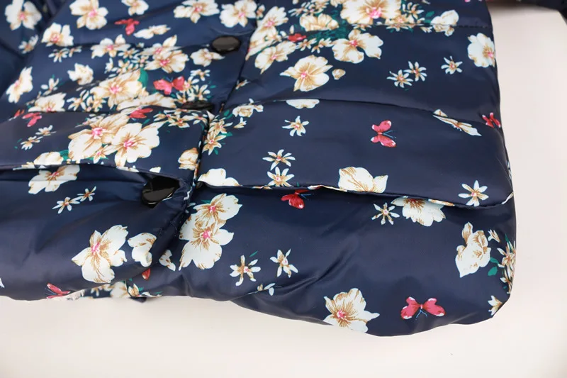 8951814827_1046179288