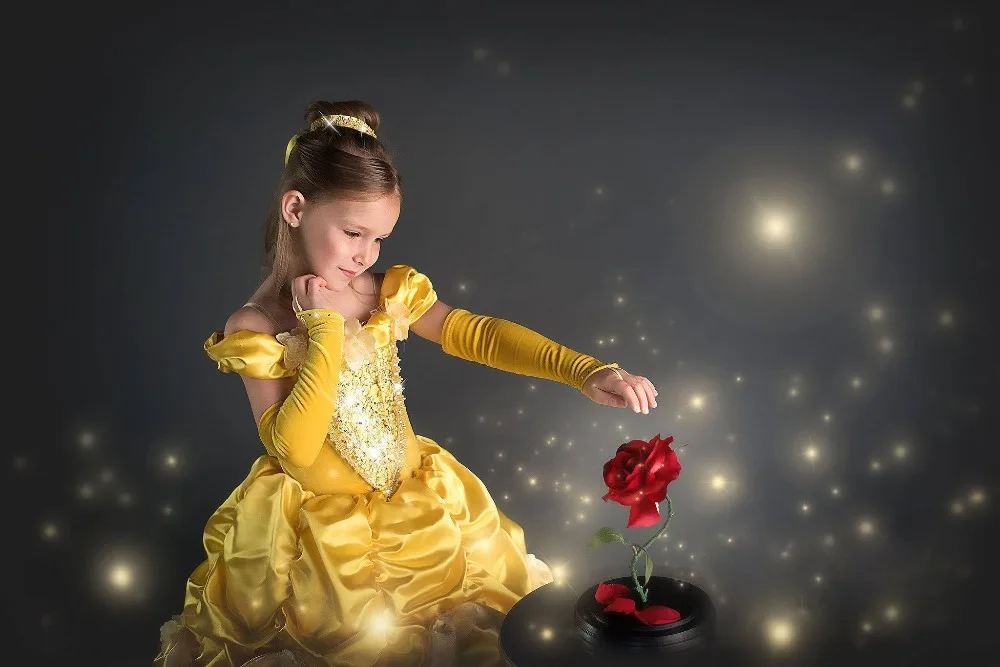 belle-3