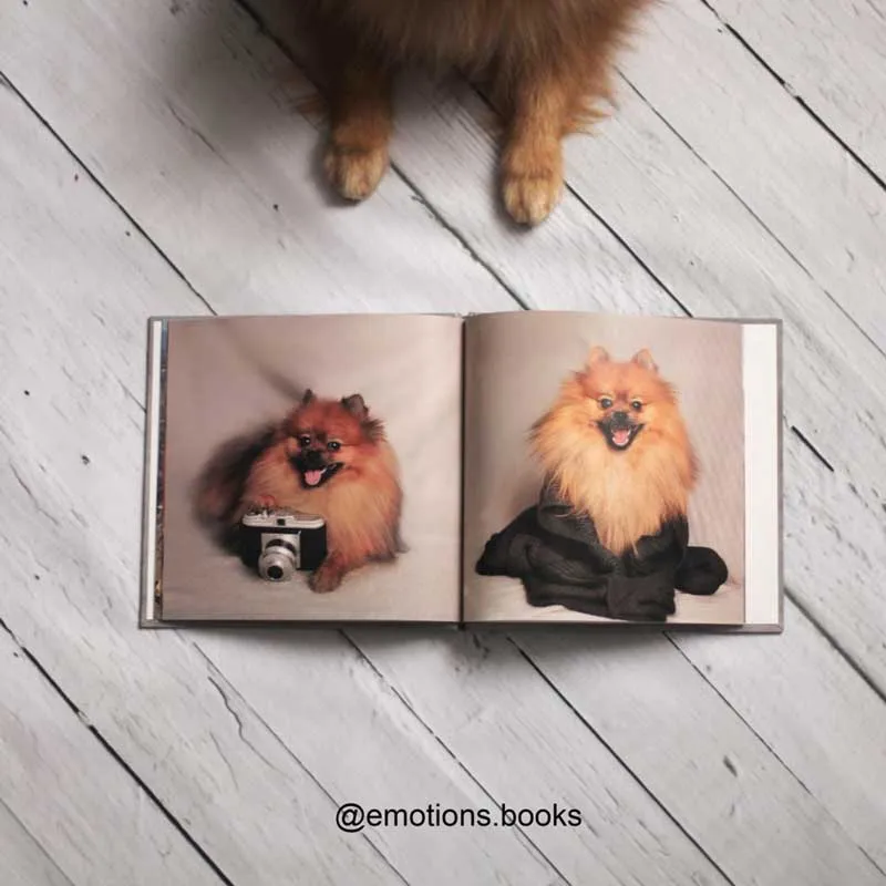 Фотофон деревянный пол виниловый цифровой печати тканевый фон для фотостудии