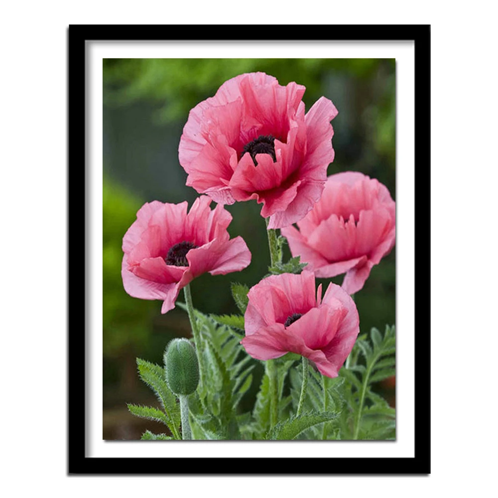 Diamond Embroidery Flowers Full Square Painting Floral Picture Cross Stitch Home Decoration | Дом и сад