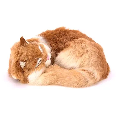 Моделирование плюшевых животных игрушки чучело спящие кошки кукла настоящая жизнь плюшевая в форме кошки имитация плюшевая в форме кошки игрушка