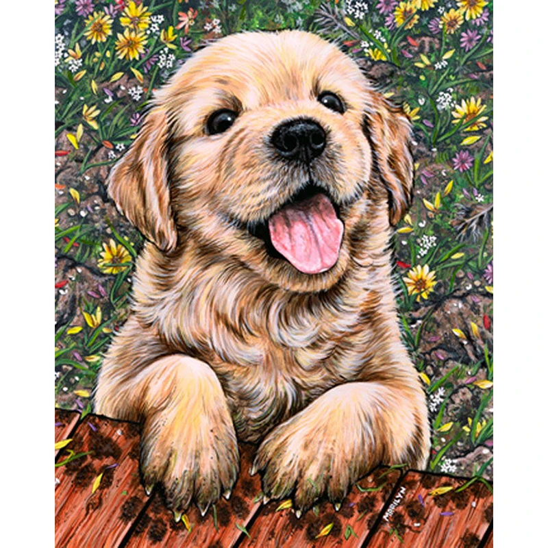 H974 Diamond Painting Puppy Dogs Dog Diamond Painting in Diamond h974-diamond-painting-puppy-dogs-dog-diamond-painting-in-diamond